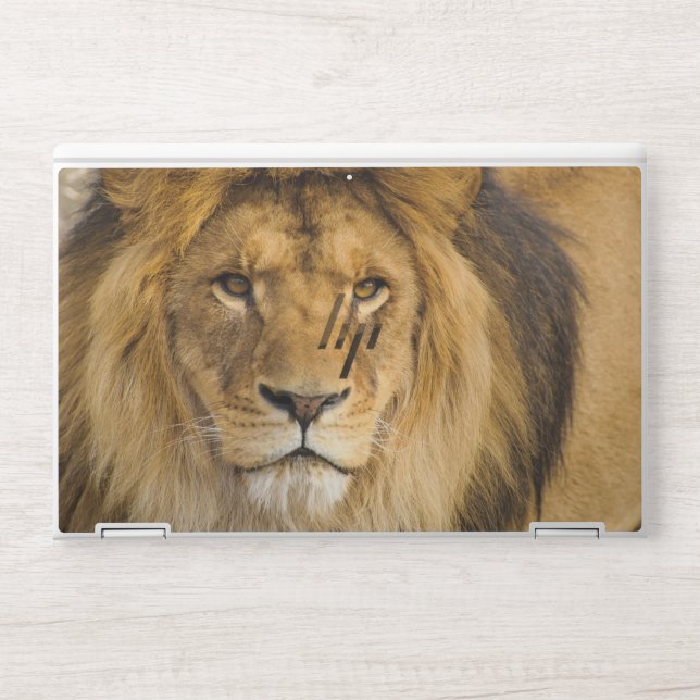  Lion Background HP EliteBook X360 1030 G3/G4 HP Laptop Skin (Front)