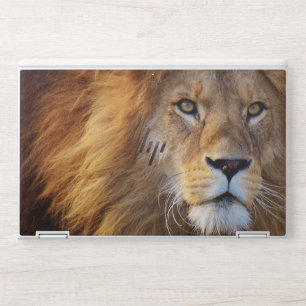 Lion Background HP EliteBook X360 1040 G5/G6 HP Laptop Skin