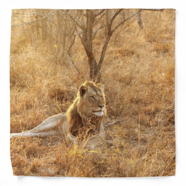 Lion Bandana (Front)