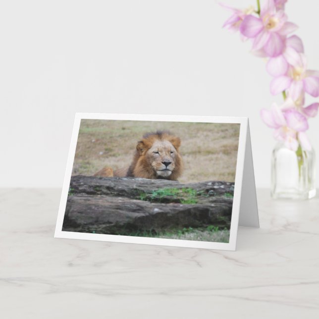 Lion Behind Rock Card (Orchid)