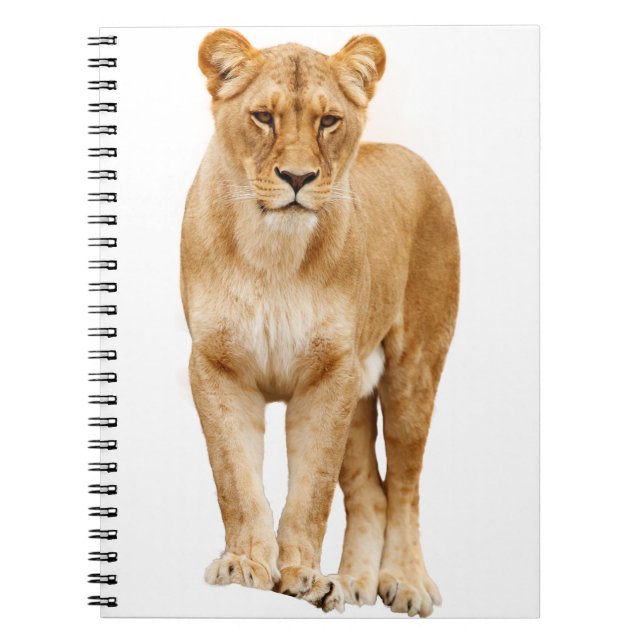 Lion Big Cat Predator Proudly Notebook (Front)