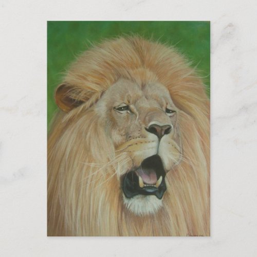 Lion big cat wildlife realist art postcard