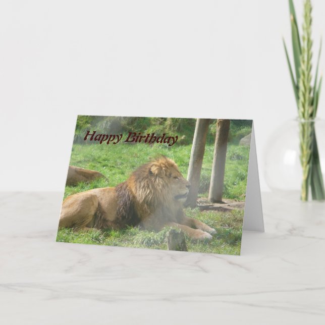 Lion Birthday Card (Front)