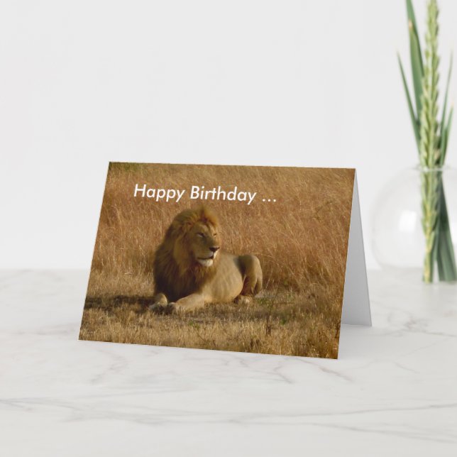 Lion Birthday card. Card (Front)