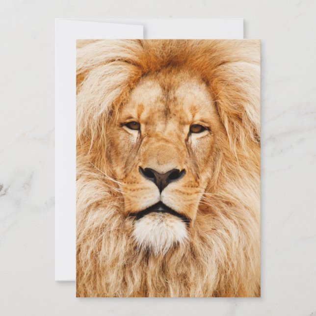 Lion Birthday Party Invitation (Front)