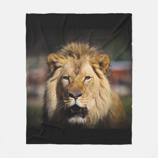 Lion Blanket (Front)