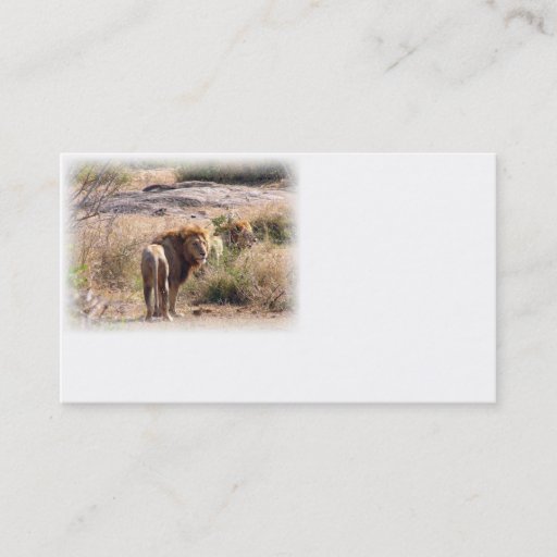 Customizable Lion business card 1