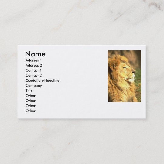 Lion Business Cards | Zazzle.com