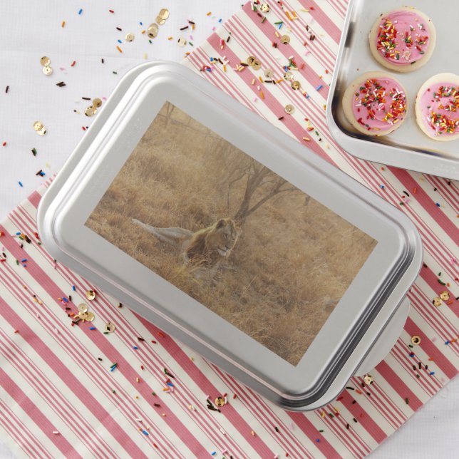 Lion Cake Pan (In Situ)