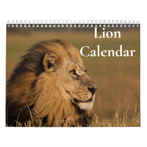 Lion Calendar 2024