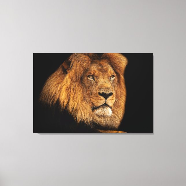 Lion Canvas Print (Front)