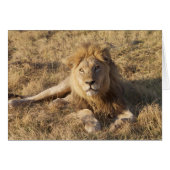 Lion Card (Front Horizontal)