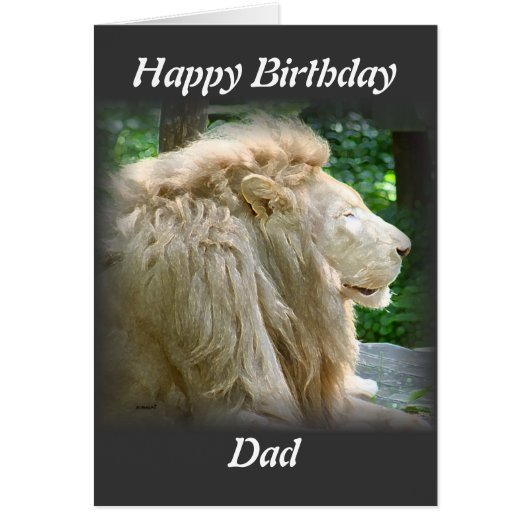 lion cards (Front)