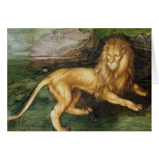 Lion Cards (Front Horizontal)