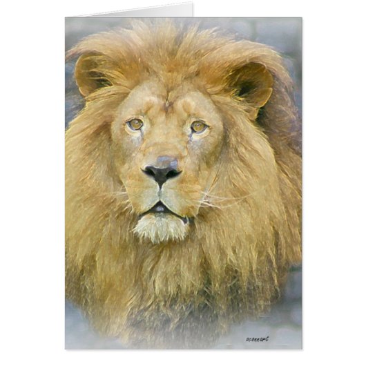 lion cards (Front)