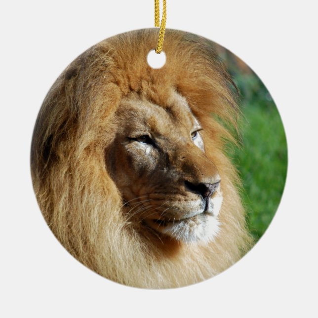 Lion Ceramic Ornament (Front)