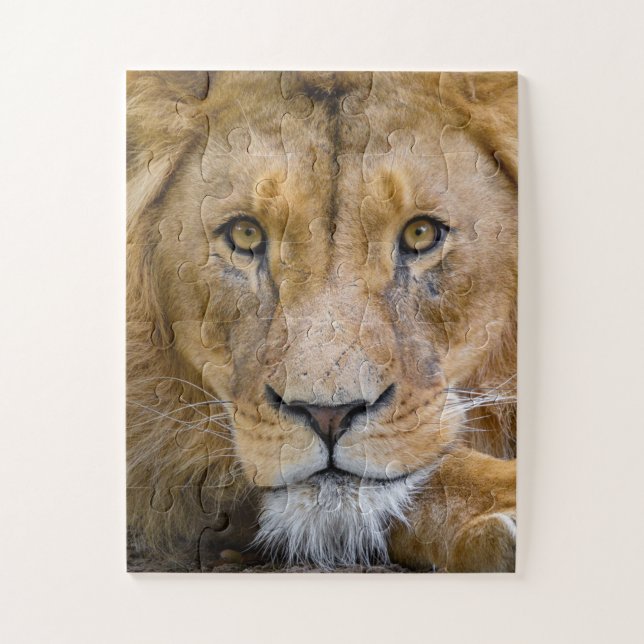 LION CLOSEUP PHOTOGRAPHY JIGSAW PUZZLE (Vertical)