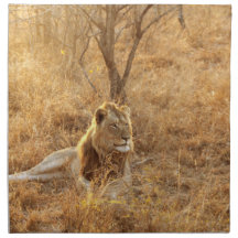 Lion Cloth Napkin
