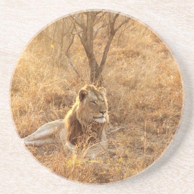 Lion Coaster (Front)