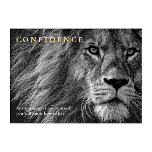 Lion Confidence Quote Inspirational  Acrylic Print