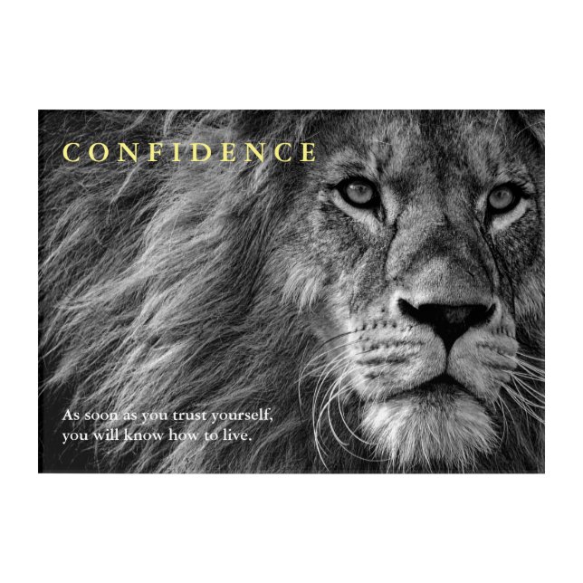 Lion Confidence Quote Inspirational  Acrylic Print (Front)