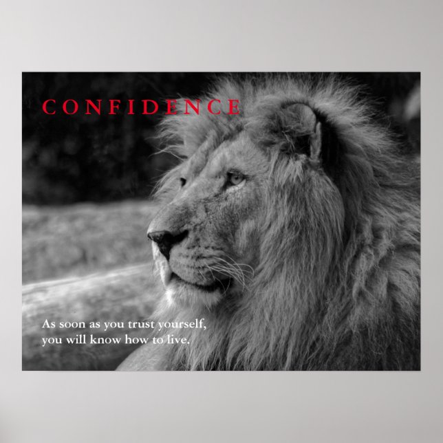 Lion Confidence Quote Inspirational Poster (Front)