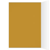 Lion,Courage_ Cards (Inside (Left))