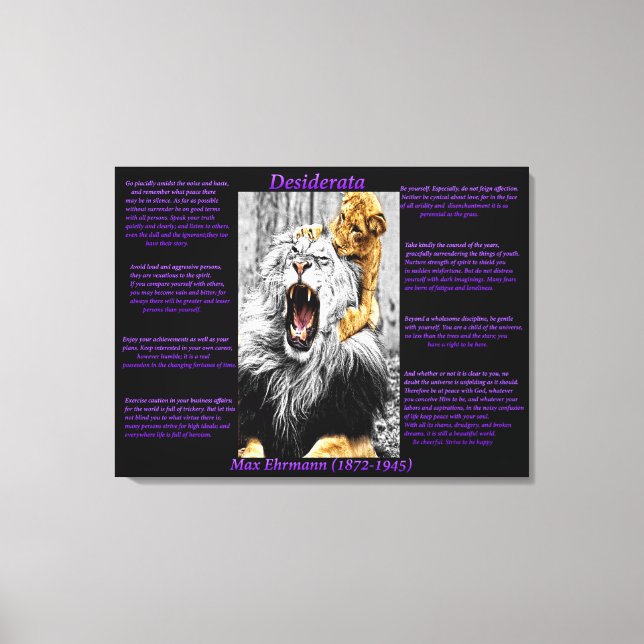 Lion Cub Canvas Print (Front)