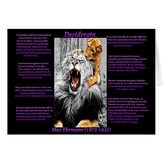 Lion Cub Cards (Front Horizontal)