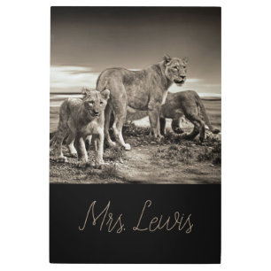 Lion Cub Cats New Mum Love Home Destiny Destiny'S Metal Print