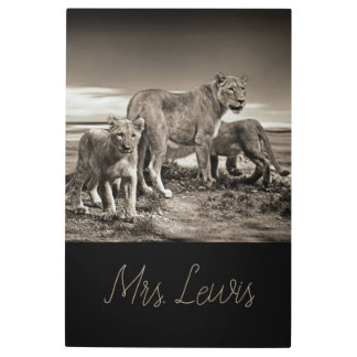 Lion Cub Cats New Mum Love Home Destiny Destiny'S Metal Print