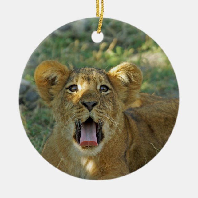 Lion Cub Ceramic Ornament (Front)