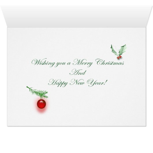 Lion Cub Christmas Card (Inside Horizontal (Bottom))