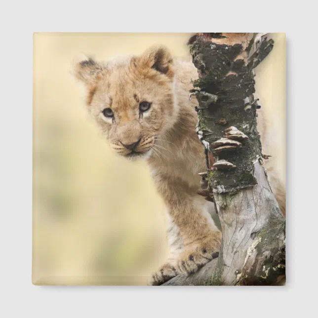 White Lion Cub,baby shower by mail, home decor, Fantasy Creatures