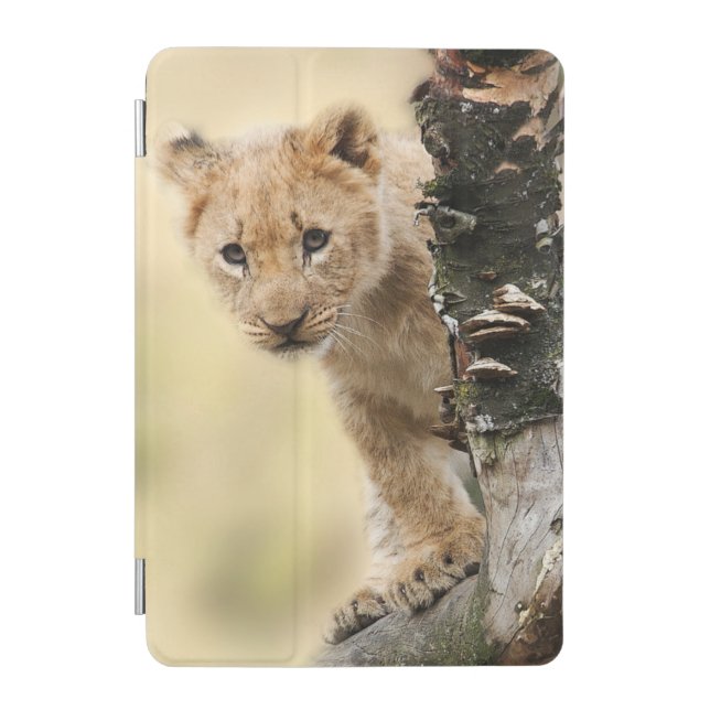 Lion Cub Climbing Tree Cute Photo iPad Mini Cover (Front)