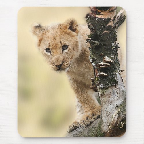 Lion Cub Climbing Tree Cute Photo Mouse Pad