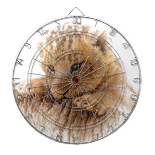 Lion cub close cute eyes lookout dart board
