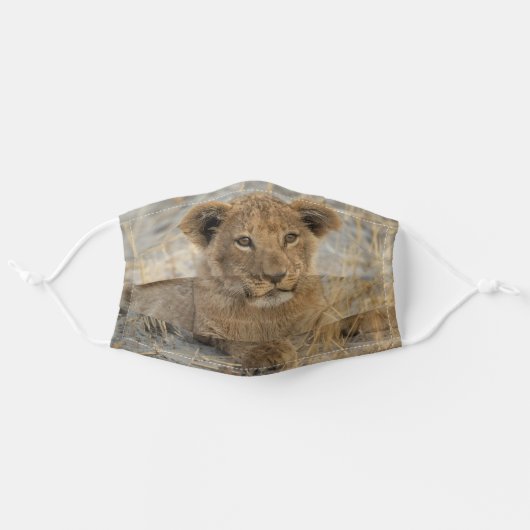 Lion cub face mask (Front, Unfolded)