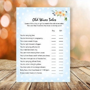 Lion Cub Floral Blue Old Wives Tales Shower Game Program