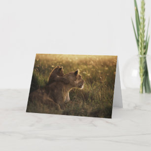 Lion & Cub Greeting Card