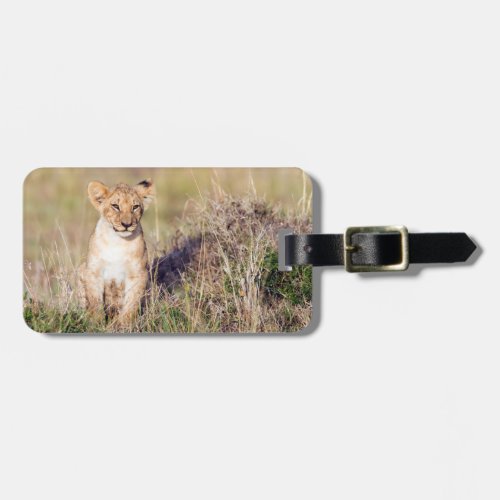 Lion cub in Africa wildlife photo Luggage Tag