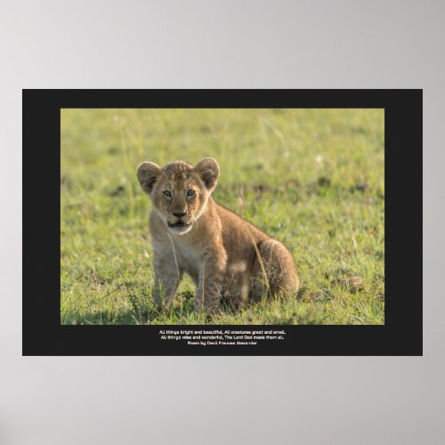 Lion Cub In Natural Setting Personalize Text  Poster