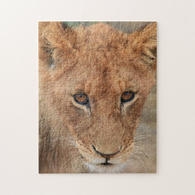 Lion Cub Jigsaw Puzzle (Vertical)