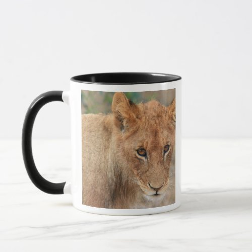 Lion Cub Mug