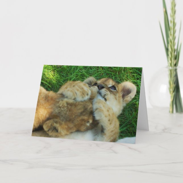 Lion Cub Note Card 4 (Front)
