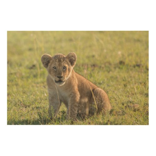 Lion Cub Photo Natural African Setting Wood Wall Art