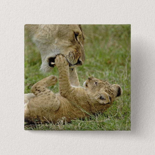 Lion Cub Playing Button (Front)