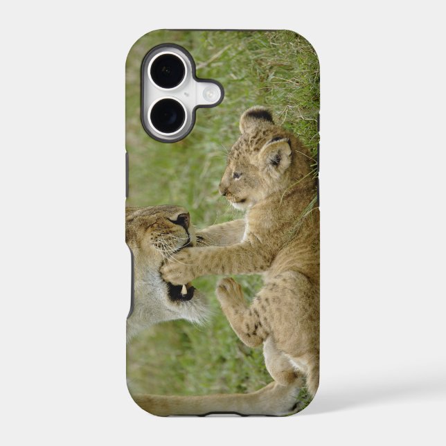 Lion Cub Playing Iphone Case (Back)