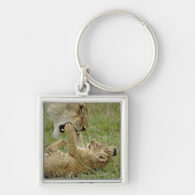 Lion Cub Playing Keychain (Front)