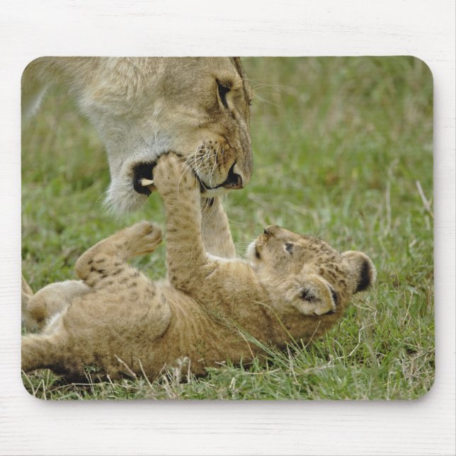 Lion Cub Playing Mouse Pad (Front)